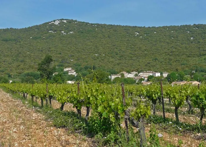 Oda ve Kahvaltı L'Oustal Des Rameaux